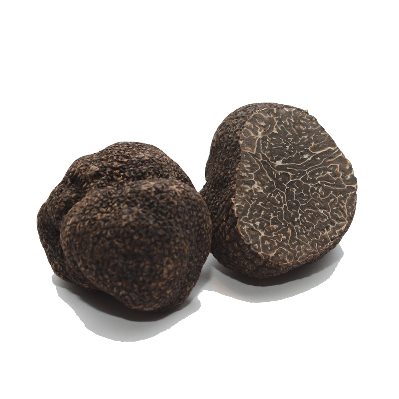 Truffe blanche : truffe d'Alba, récolte, achat et recettes